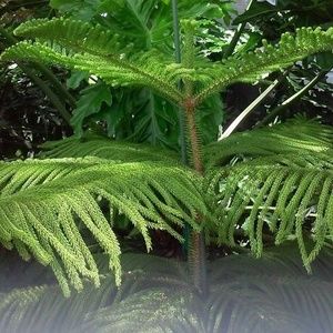 Meet your Posher, Michele